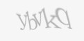 Защитный код