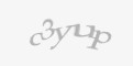 Защитный код